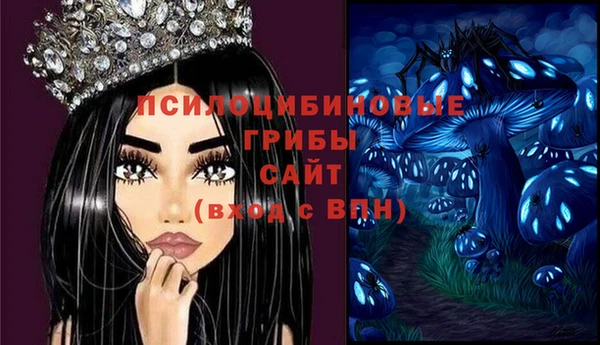 молекула духа Лагань