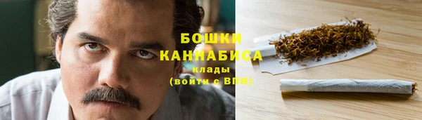 молекула духа Лагань