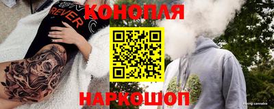 дживик Камышлов
