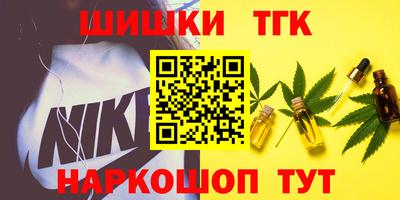дживик Камышлов